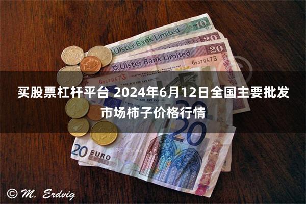 买股票杠杆平台 2024年6月12日全国主要批发市场柿子价格行情