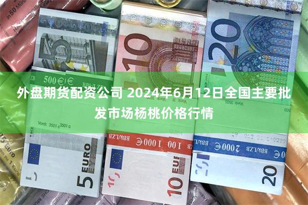 外盘期货配资公司 2024年6月12日全国主要批发市场杨桃价格行情