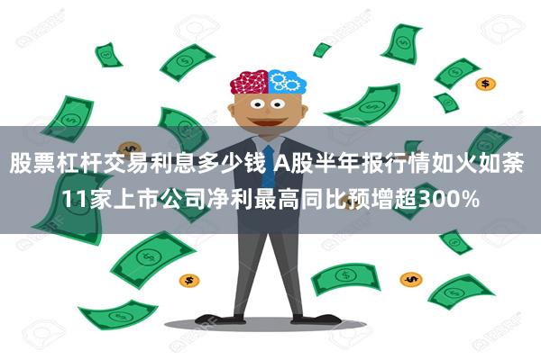 股票杠杆交易利息多少钱 A股半年报行情如火如荼 11家上市公司净利最高同比预增超300%