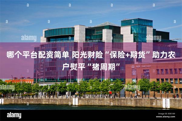 哪个平台配资简单 阳光财险“保险+期货”助力农户熨平“猪周期”