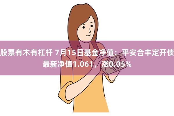 股票有木有杠杆 7月15日基金净值：平安合丰定开债最新净值1.061，涨0.05%