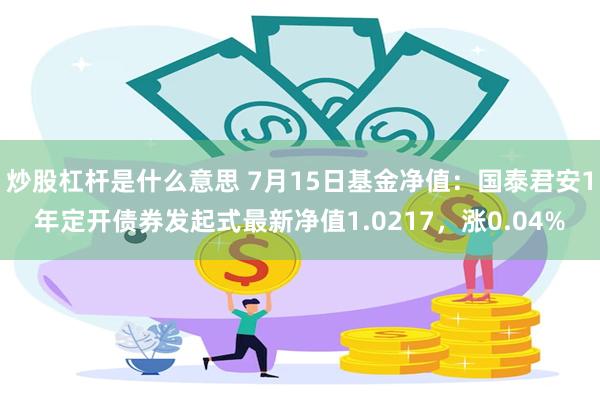 炒股杠杆是什么意思 7月15日基金净值：国泰君安1年定开债券发起式最新净值1.0217，涨0.04%