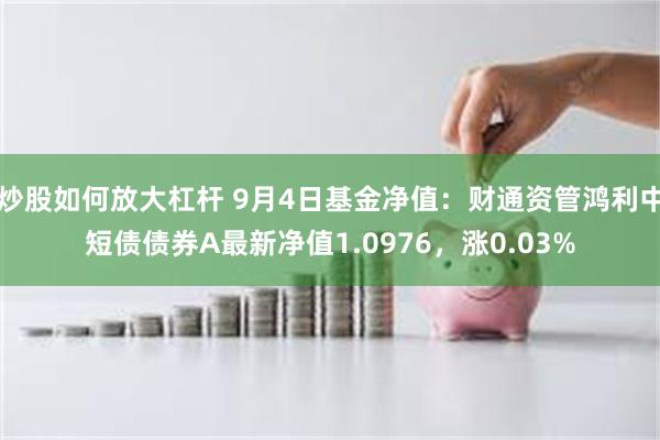 炒股如何放大杠杆 9月4日基金净值：财通资管鸿利中短债债券A最新净值1.0976，涨0.03%