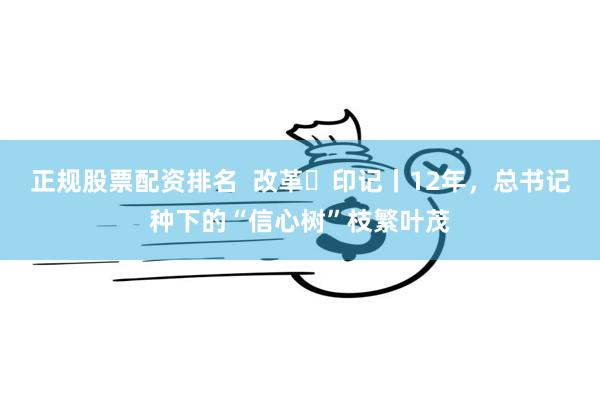 正规股票配资排名  改革・印记丨12年，总书记种下的“信心树”枝繁叶茂