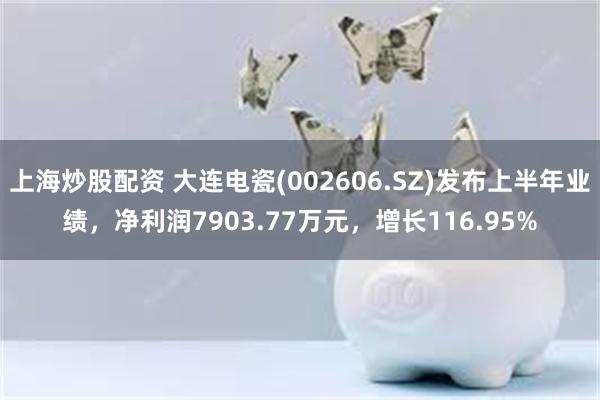 上海炒股配资 大连电瓷(002606.SZ)发布上半年业绩，净利润7903.77万元，增长116.95%