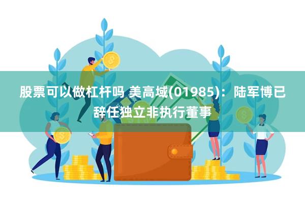 股票可以做杠杆吗 美高域(01985)：陆军博已辞任独立非执行董事