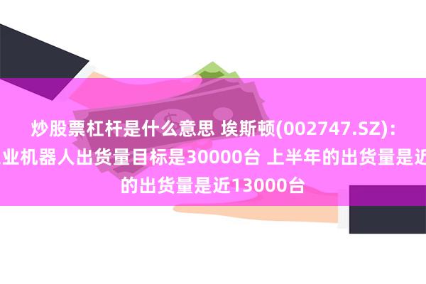 炒股票杠杆是什么意思 埃斯顿(002747.SZ)：2024年工业机器人出货量目标是30000台 上半年的出货量是近13000台