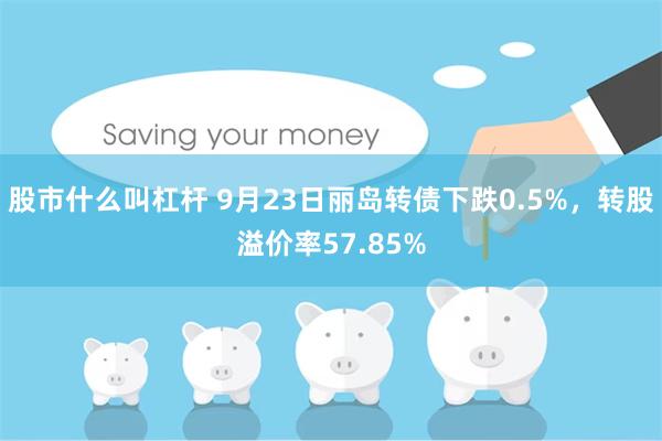 股市什么叫杠杆 9月23日丽岛转债下跌0.5%，转股溢价率57.85%