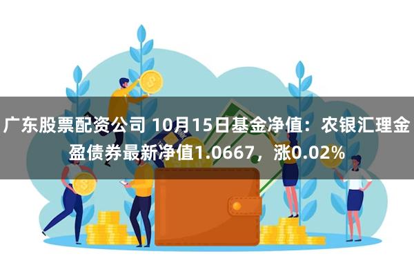 广东股票配资公司 10月15日基金净值：农银汇理金盈债券最新净值1.0667，涨0.02%