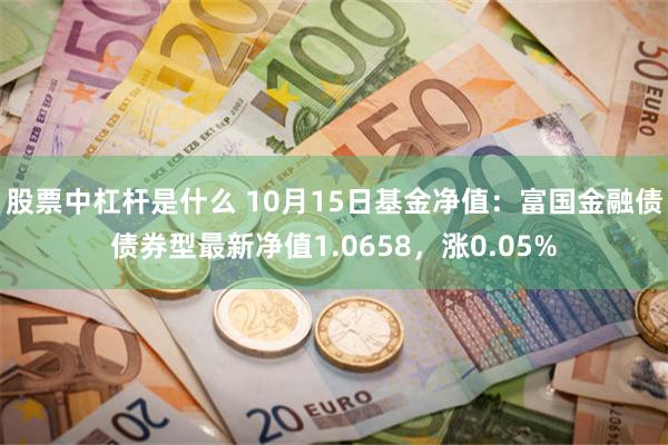 股票中杠杆是什么 10月15日基金净值：富国金融债债券型最新净值1.0658，涨0.05%