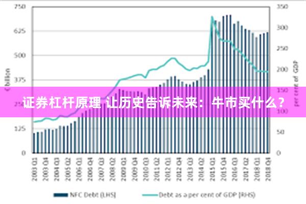 证券杠杆原理 让历史告诉未来：牛市买什么？