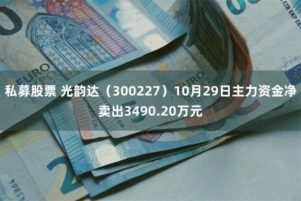 私募股票 光韵达（300227）10月29日主力资金净卖出3490.20万元