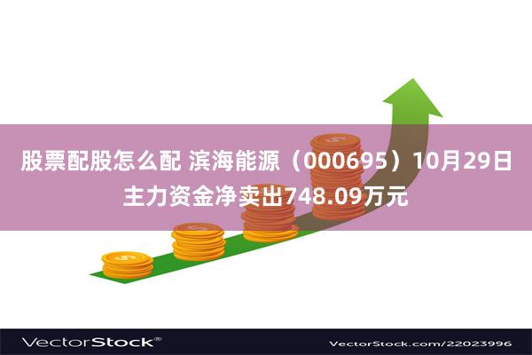 股票配股怎么配 滨海能源（000695）10月29日主力资金净卖出748.09万元