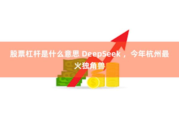 股票杠杆是什么意思 DeepSeek ，今年杭州最火独角兽